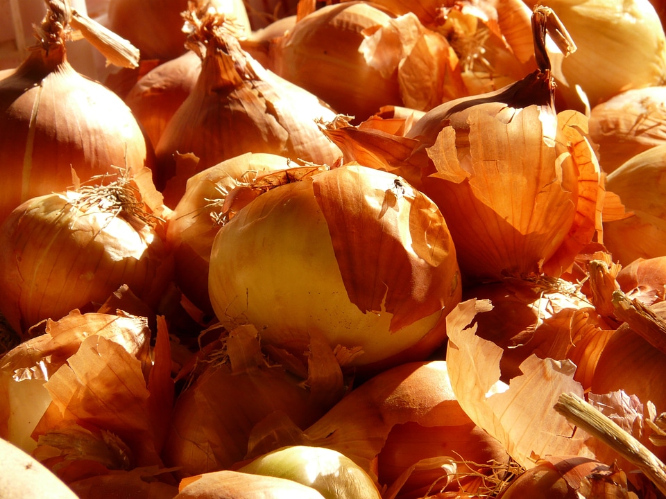 Market allium cepa onions