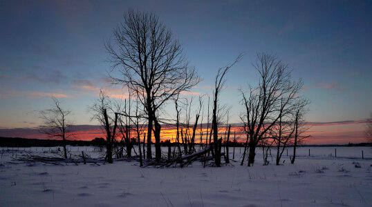 Beautiful winter landscape at sunset with snow
