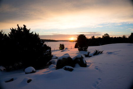 Beautiful winter landscape at sunset with snow photo