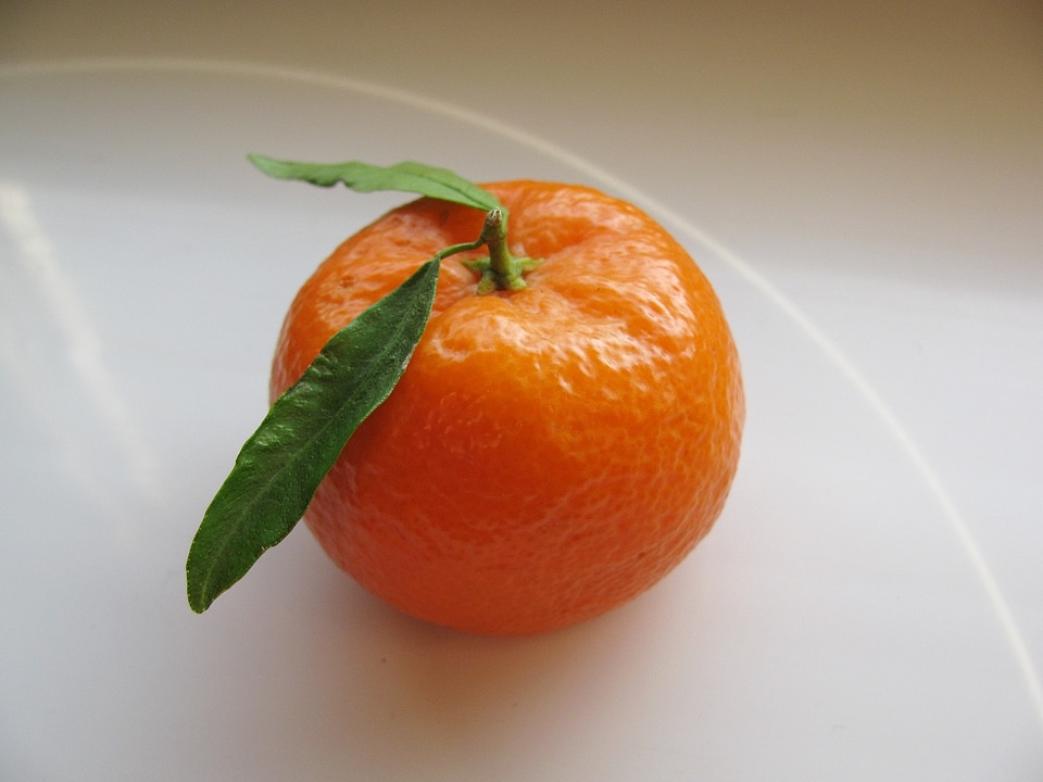 Fruit mandarin healthy