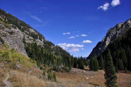 Summer in Grand Tetons National Park Wyoming