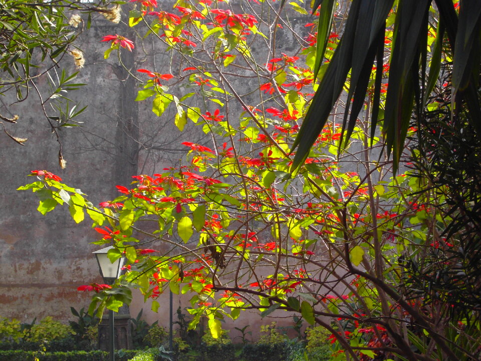 Sunny autumn forest