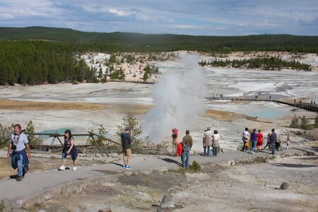 a geyser erupts in Yellowstone national park