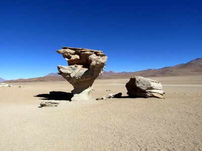 Stone tree
