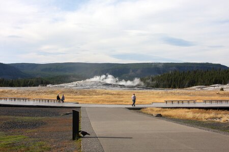 Beautiful geyser in yellowstone national park