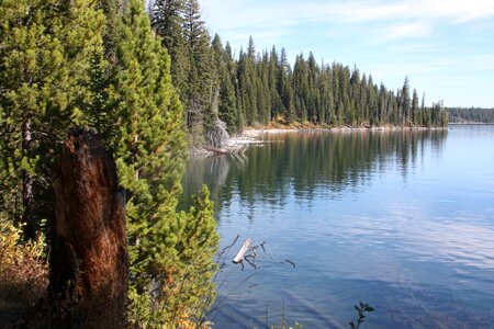 Beautiful geyser in yellowstone national park