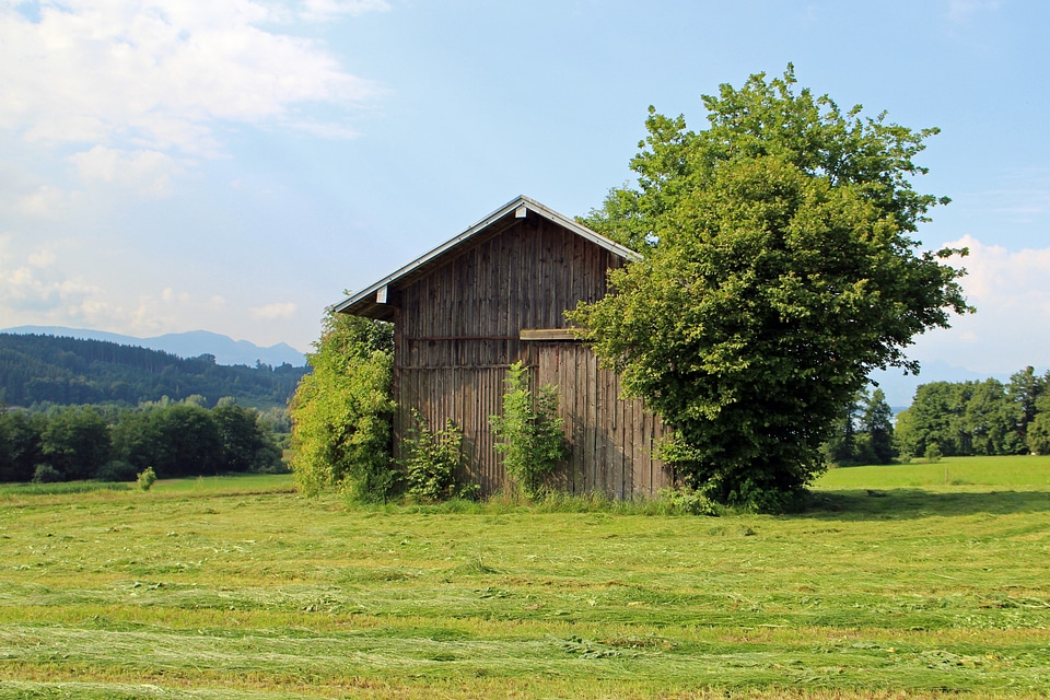 Meadow nature field barn