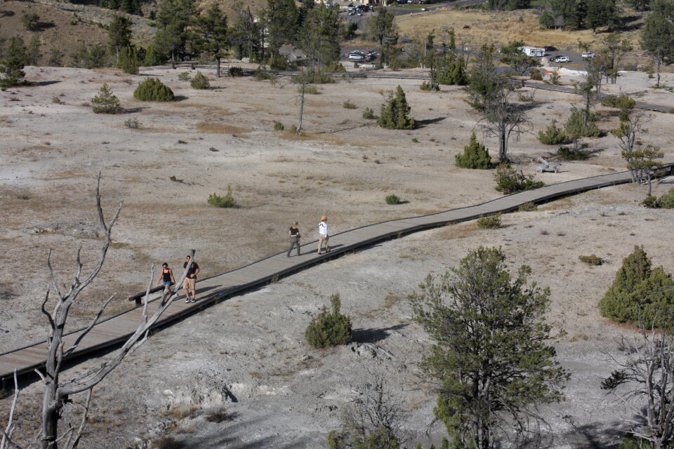 Yellowstone National Park Wyoming