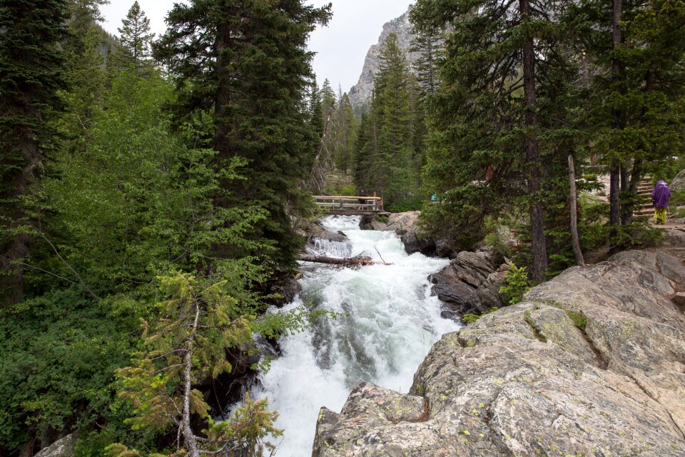 Cascade Canyon Trail in Grand Teton National Park
