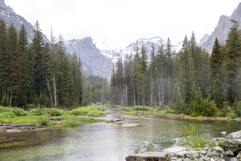 Cascade Canyon Trail in Grand Teton National Park
