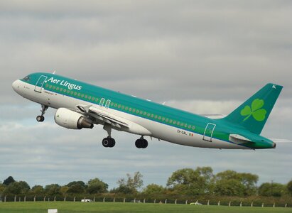 Aer Lingus Airline