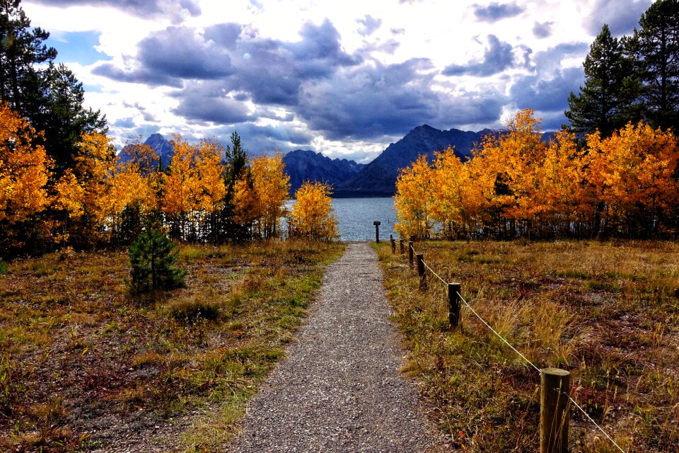 Autumn park. Leaf fall. Lake