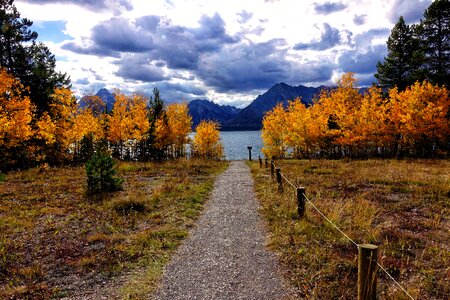 Autumn park. Leaf fall. Lake