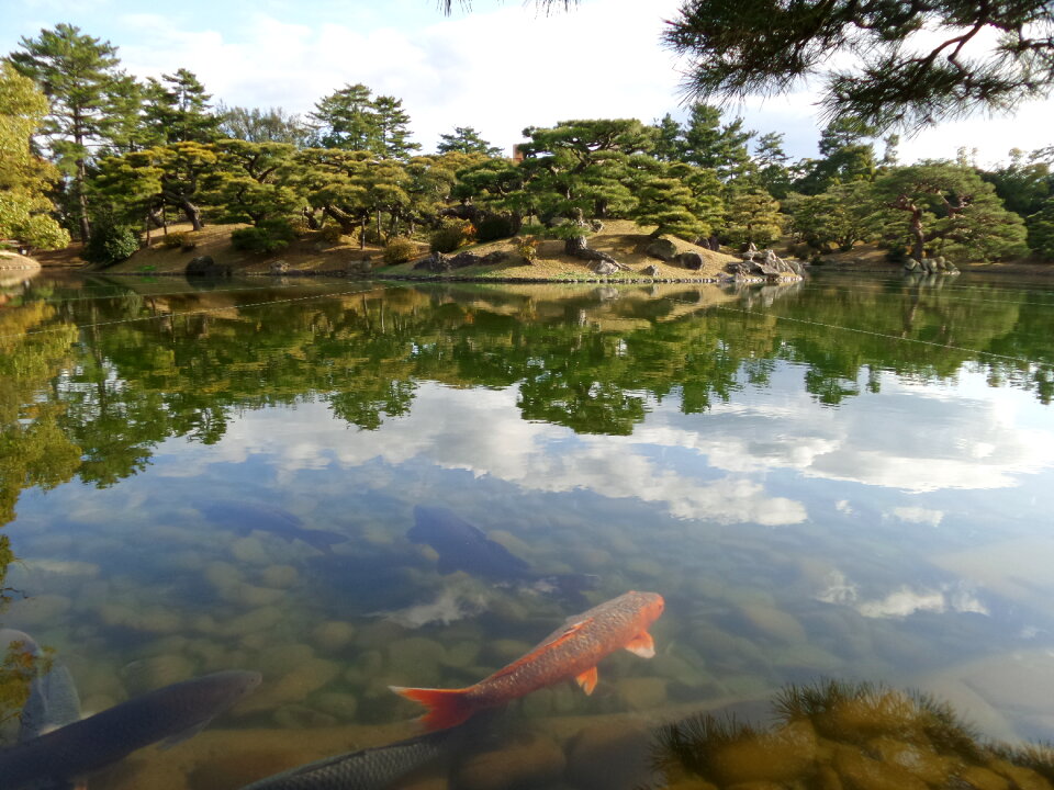 Japanese Garden in Takamatsu Japan