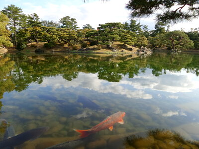 Japanese Garden in Takamatsu Japan