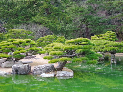 Japanese Garden in Takamatsu Japan photo