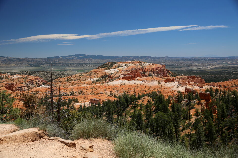 Bryce Canyon - Navajo Loop