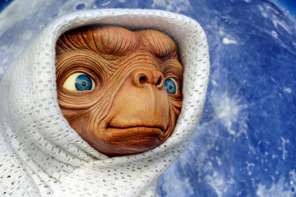 ET - character of the Steven Spielberg movie