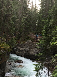 Sunwapta Falls, Jasper, Canadian Rockies photo