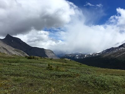 Snow Covered Mt Athabasca From the Wilcox Pass Trail photo