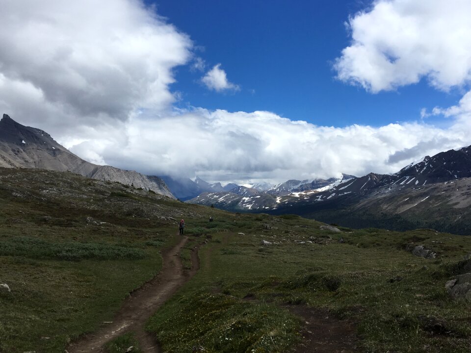 Snow Covered Mt Athabasca From the Wilcox Pass Trail