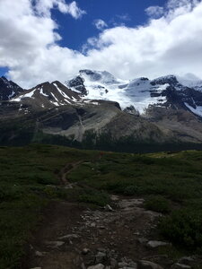 Snow Covered Mt Athabasca From the Wilcox Pass Trail