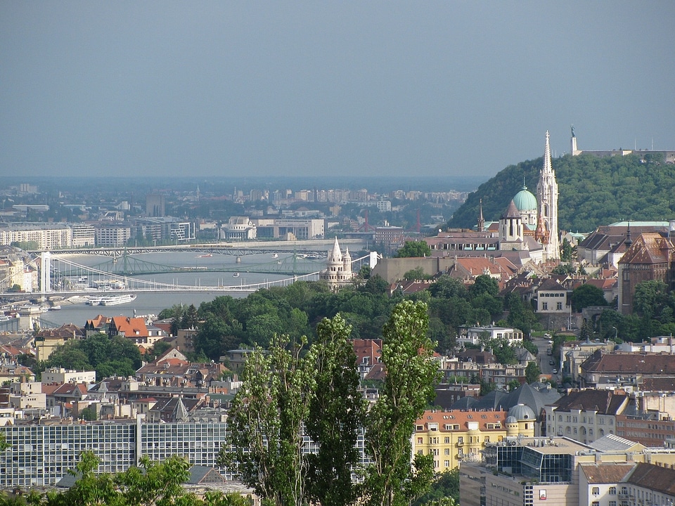 Panorama bridges danube