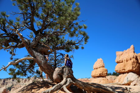 Hiking trails in Bryce Canyon National Park, Utah photo