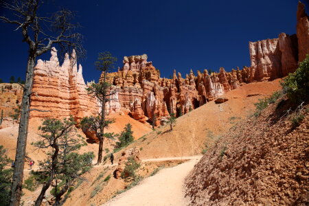Hiking trails in Bryce Canyon National Park, Utah photo