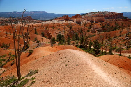 Hiking trails in Bryce Canyon National Park, Utah photo