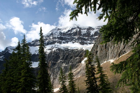 Mount Edith Cavell Mountain in Alberta, Canada photo
