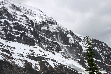 Mount Edith Cavell Mountain in Alberta, Canada photo