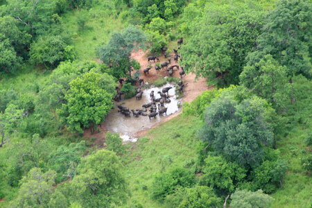 Niassa National Reserve Park