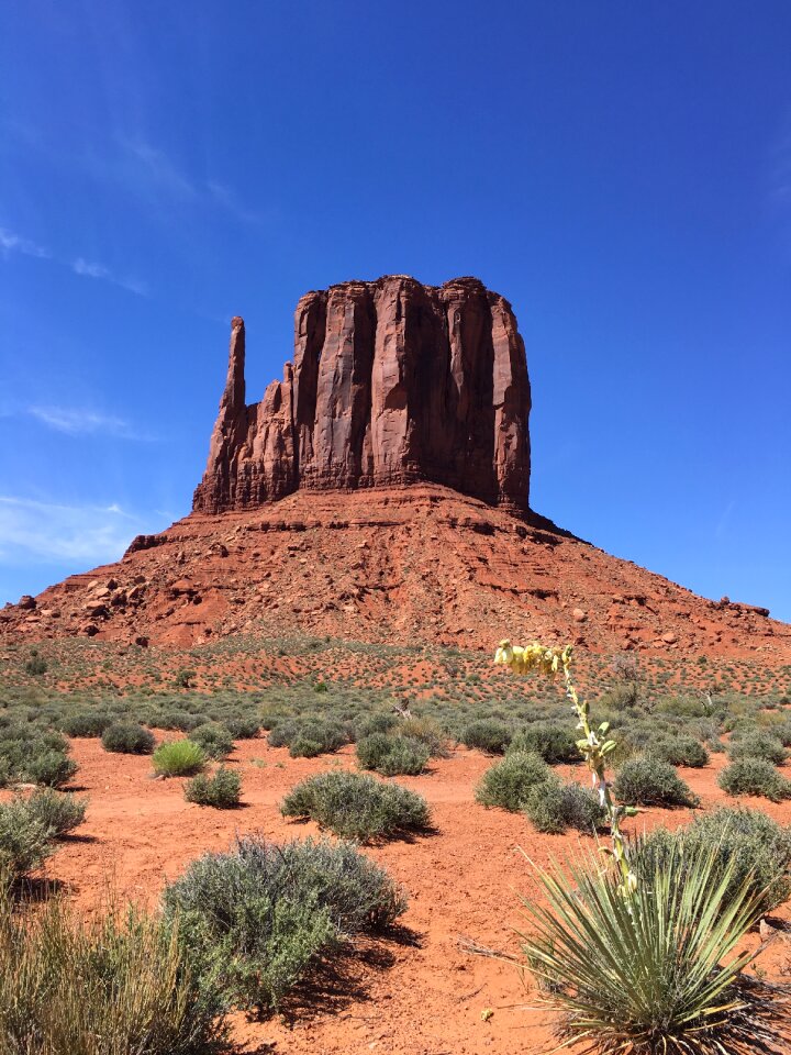 Sedona, Arizona, USA at Red Rock State Park photo