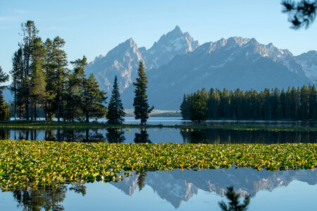 Grand Teton National Park