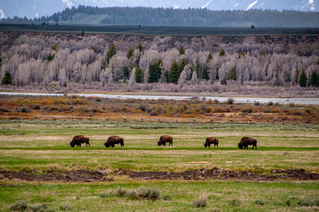 Grand Teton National Park