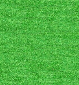 grass background