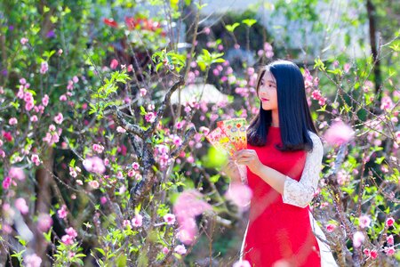 Beautiful Asian Woman