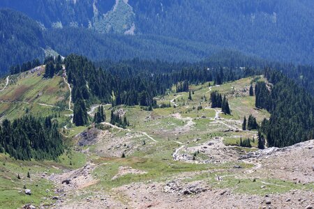 Paradise trail in Mount Rainier National Park, Washington photo