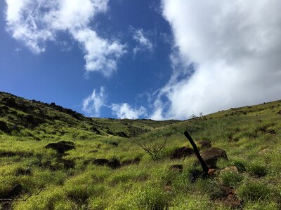 Lahaina Pali Trail Maui, Hawaii photo