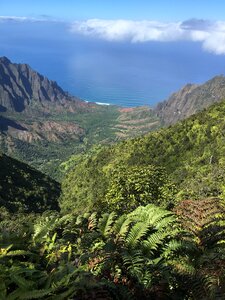 Amazing Waimea Canyon in Kauai, Hawaii Islands photo