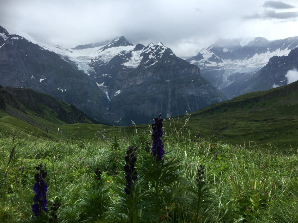 Jungfrau Summit in Switzerland