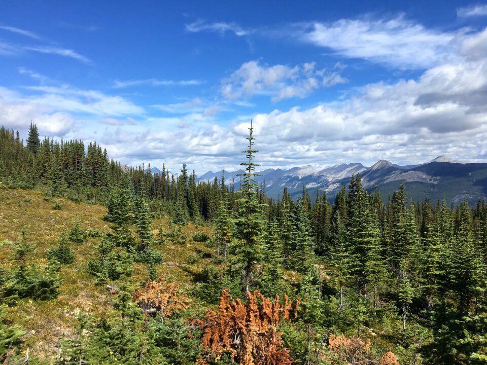 Sulphur Mountain in Banff National Park