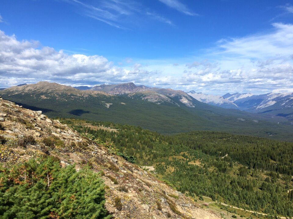 Sulphur Mountain in Banff National Park