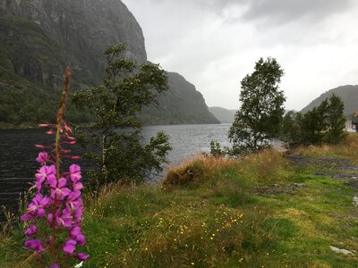 The trail to Troll's Tongue rock in Hordaland county Norway