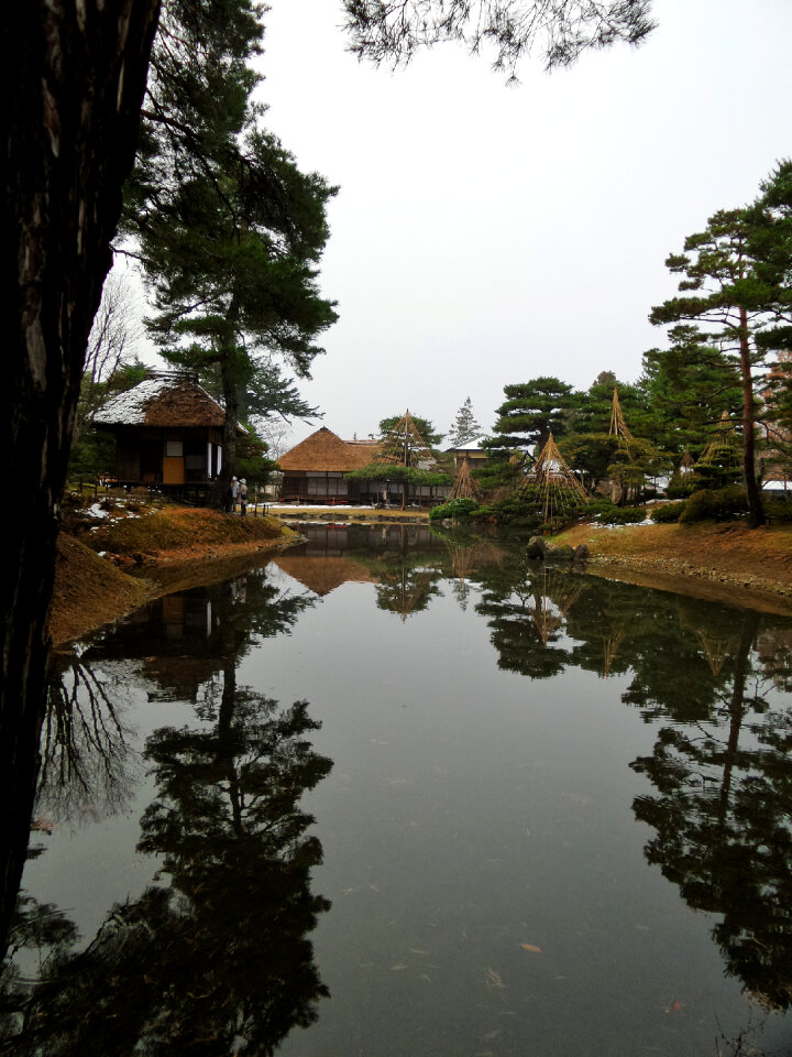 Japan garden with a pond