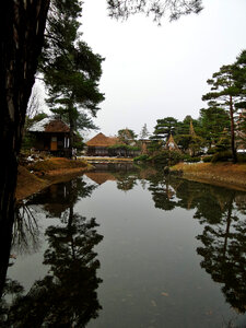 Japan garden with a pond