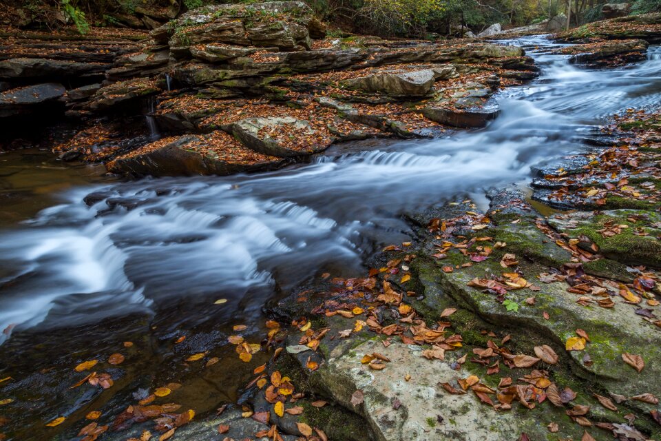 Autumn Cascades photo