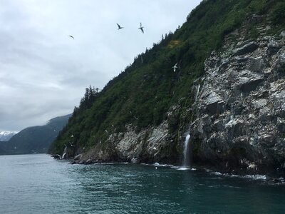 Kenai Peninsula Borough of Alaska