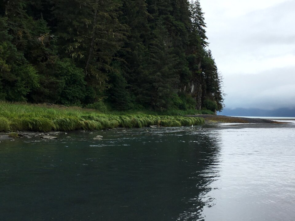 Kenai Peninsula Borough of Alaska